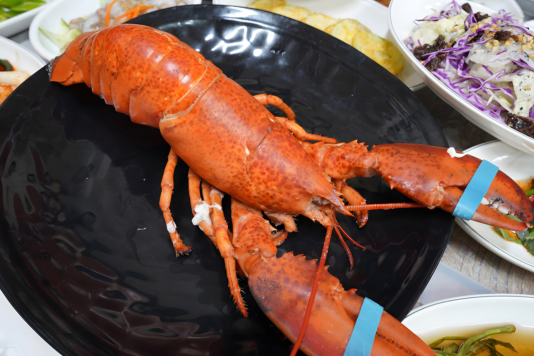 광희해물촌 모둠회 세트, 자연산 활어 한 상